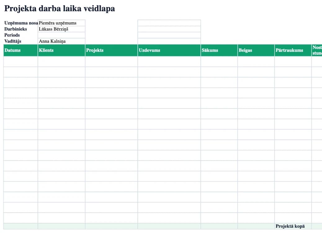 Excel priekšskatījums: Projekta darba laika veidlapa