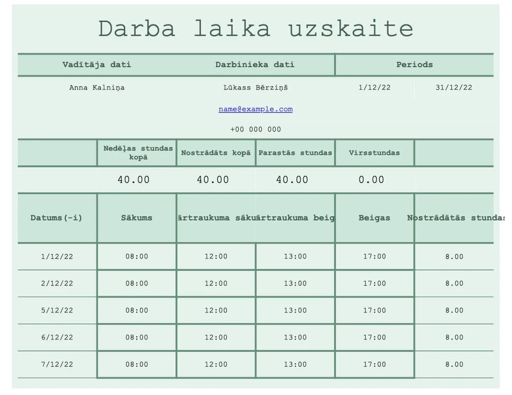 Projektu stundu uzskaites Excel veidne ar detalizētu stundu sadalījumu